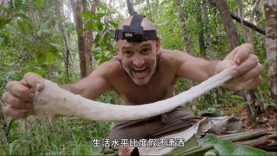 德爷荒野求生游戏下载
