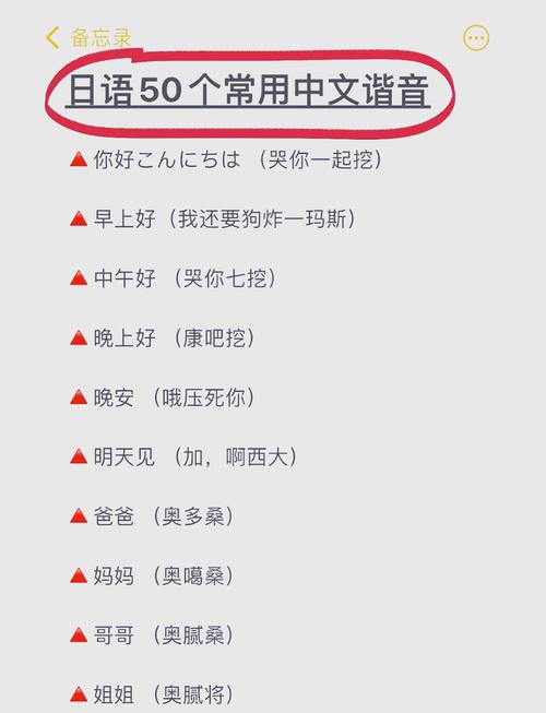 中日姓名翻译器内置会员