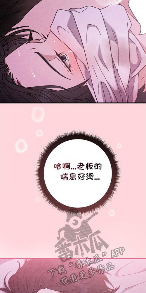 嘿嘿连载漫画免费漫画