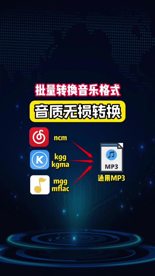 兔qqmp3
