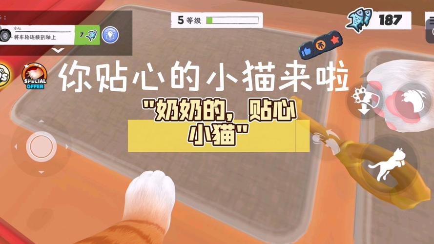 奶奶的贴心小猫下载