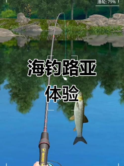 天天路亚内置作