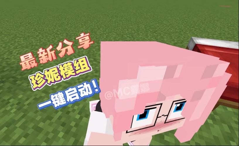 珍妮模组直装版下载教程
