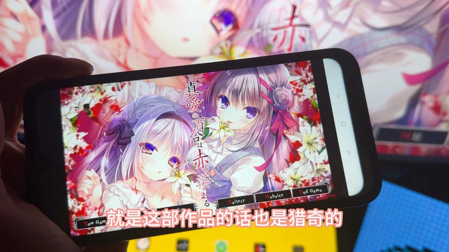 真爱百合安卓汉化直装包