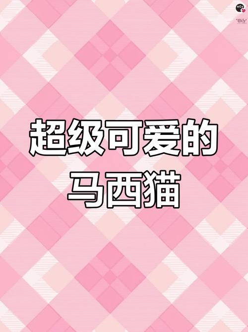 马西猫wps网页版入口官方版