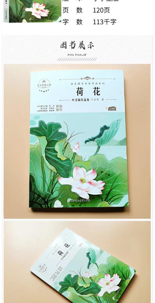 荷花网书免付费去除广告
