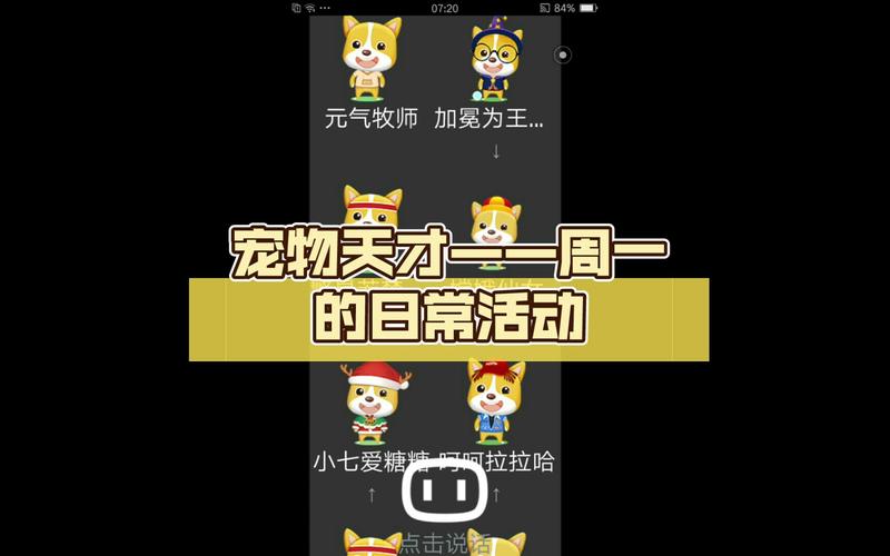 宠物天才无限金