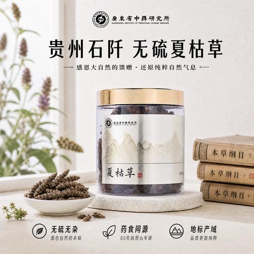 蒲公英研究所