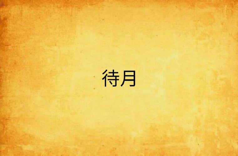 待月小说正版免费阅读入口pc端