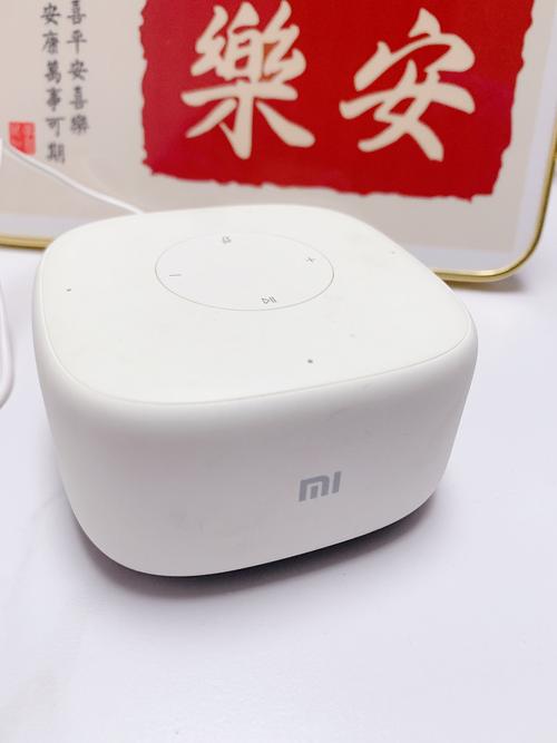 小爱语音v66