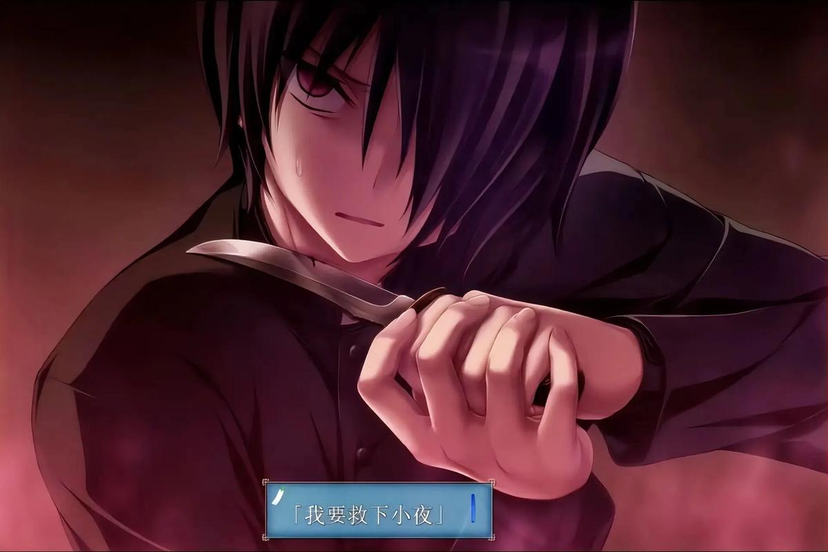 青鸟安卓直装g解锁版
