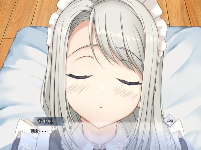 索菲亚的秘密官