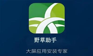 野草助手tv版