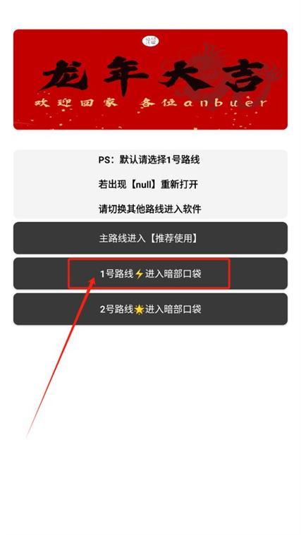 暗部口袋官方正版入口在哪