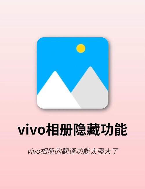 vivo全局翻译
