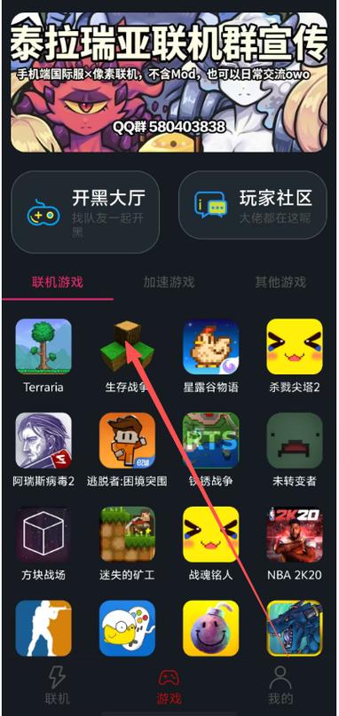 像素联机平台官网入口