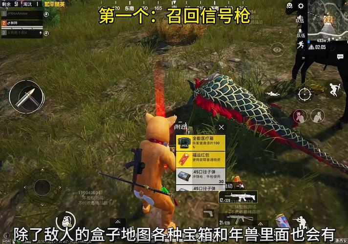 DY和平精英版
