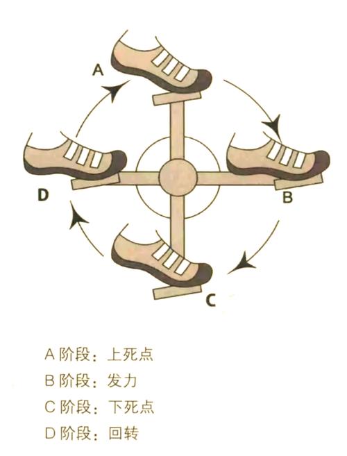 踩踏啦踩踏之家官网版