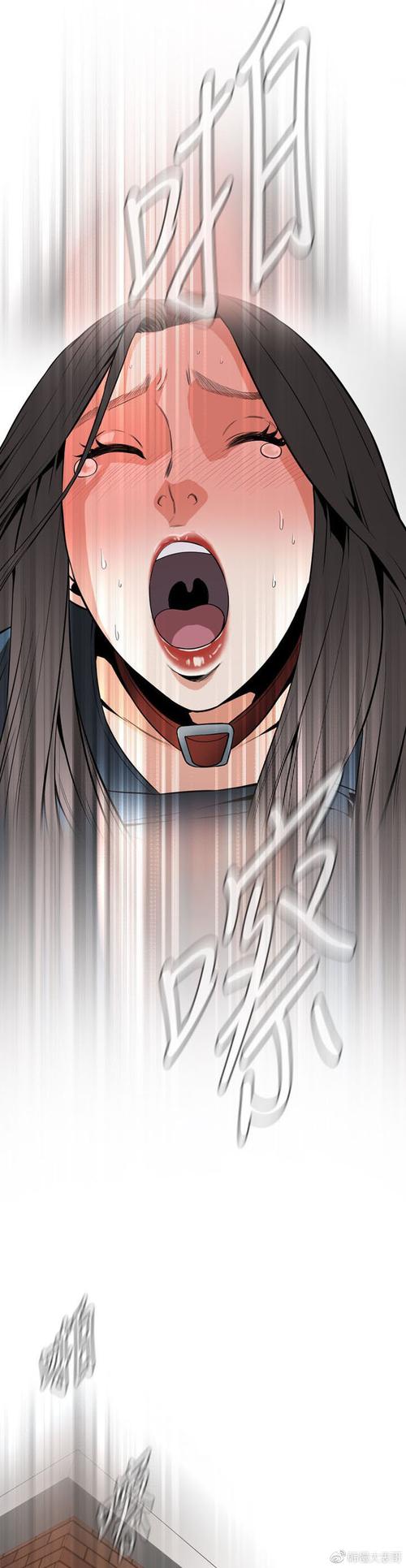 窥探者第一季漫画
