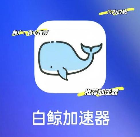 白鲸app官网下载安装