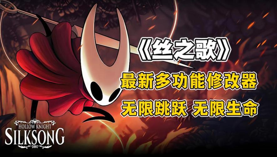 空洞骑士无限生