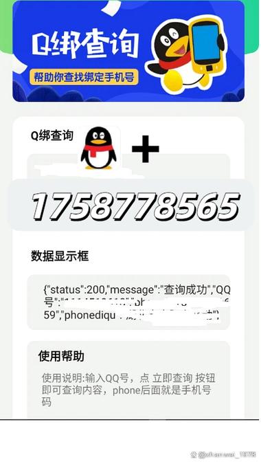 QQ在线查询器永久vip版