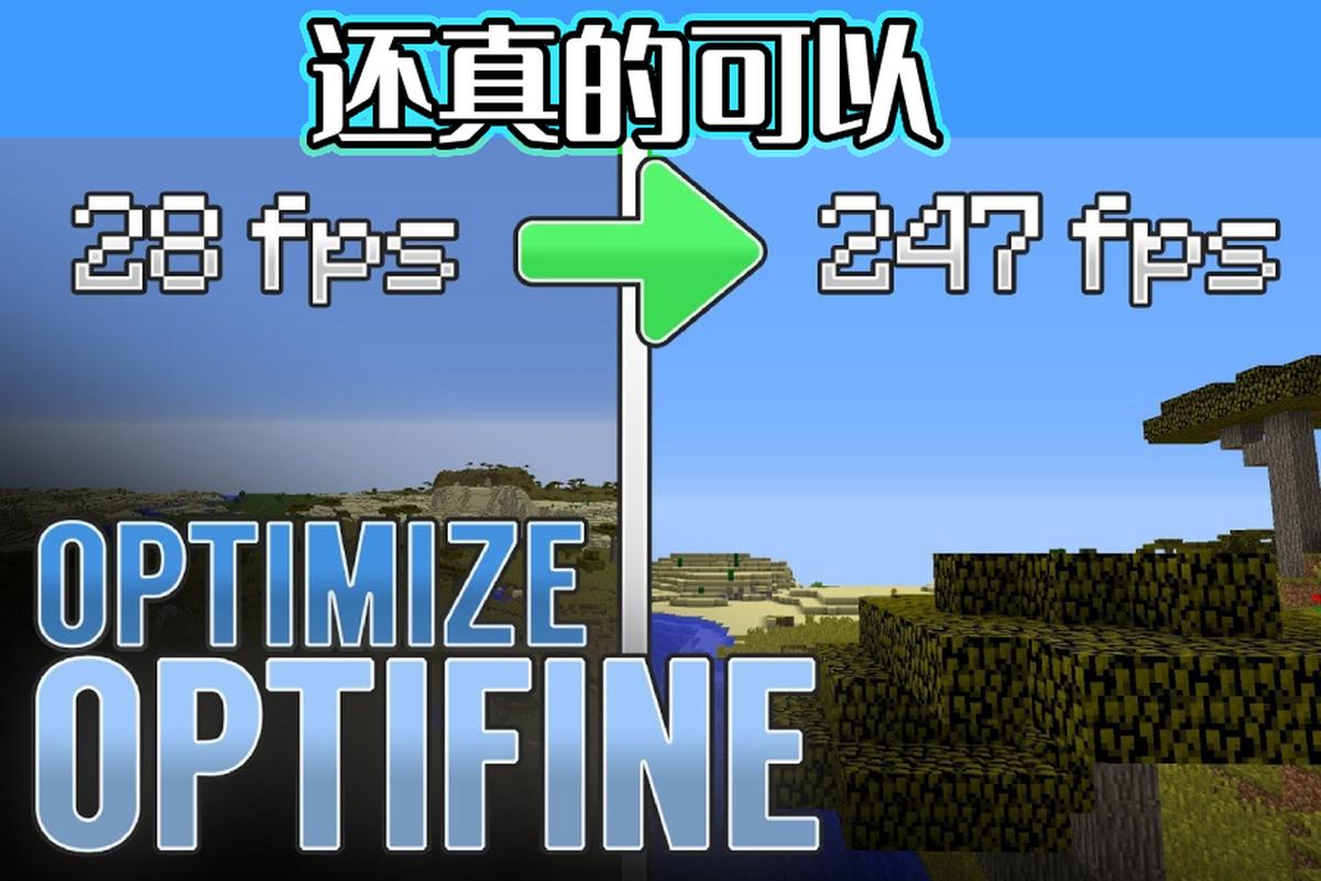 optiF免费版