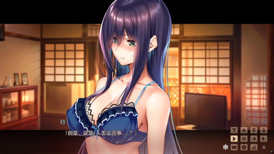 甜蜜女友2全解
