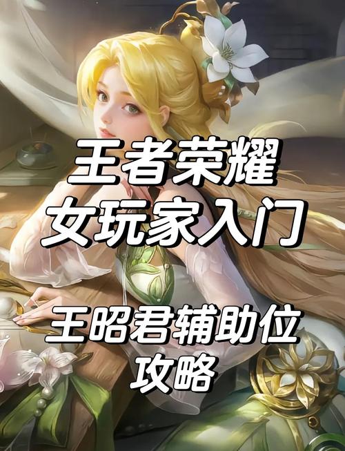 王者荣耀公益内核辅助
