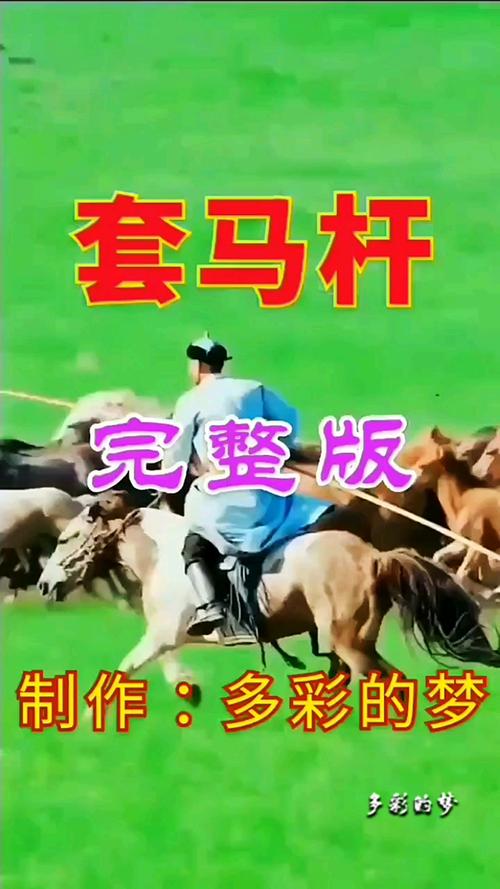 套马杆铃声mp