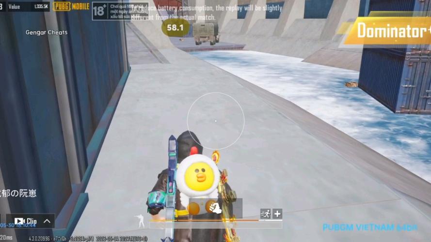 越南服pubg30直装免付费