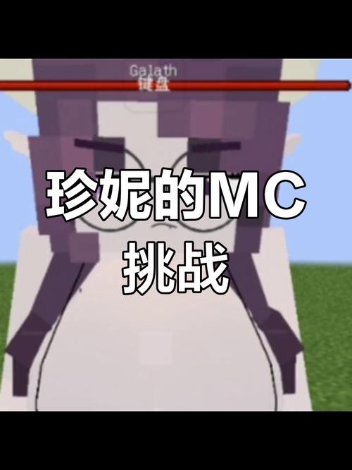 我的世界动画珍妮的奇妙冒险