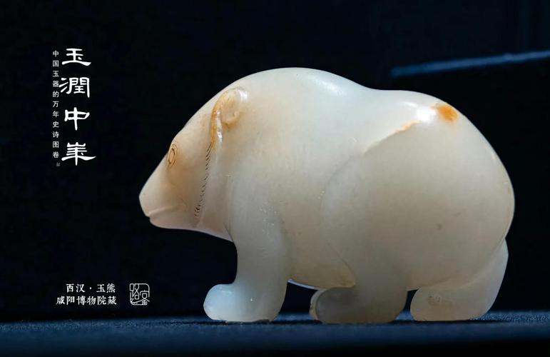 白玉熊影视免谷歌汉化版