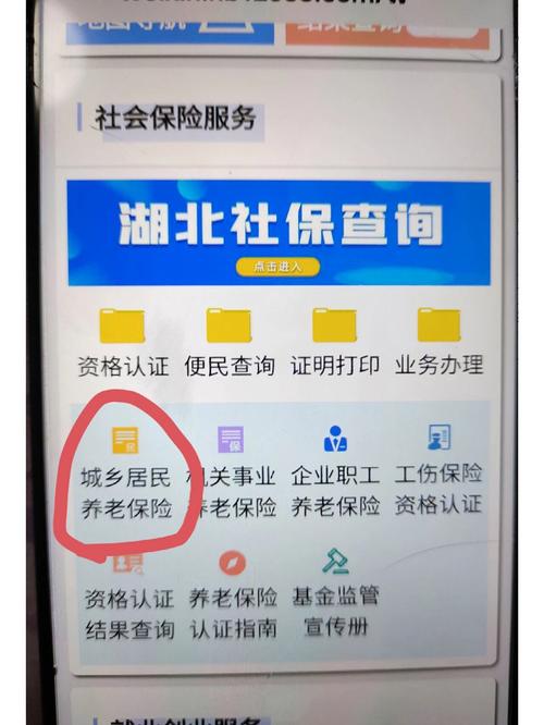 湖北12333养老认证