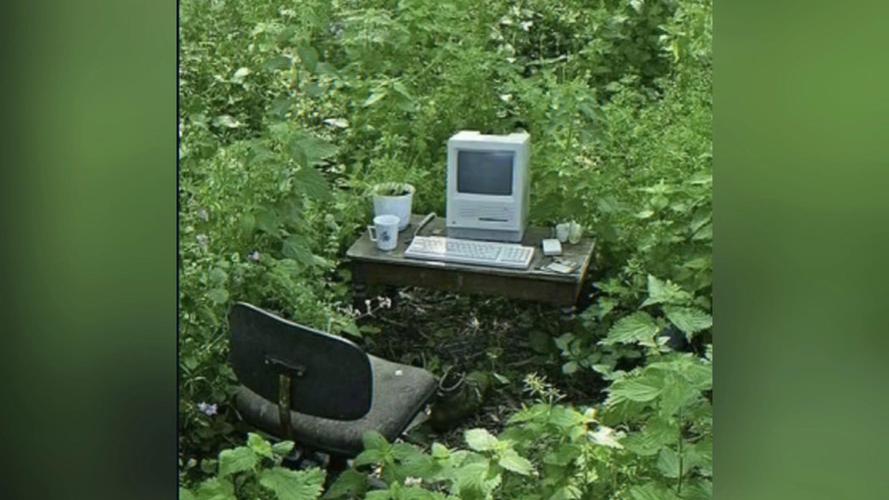 pc版核污染植
