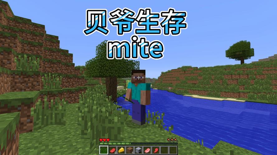我的世界贝爷版免广告