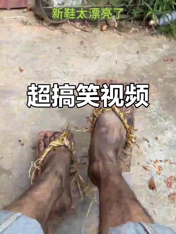 搞笑视频大全
