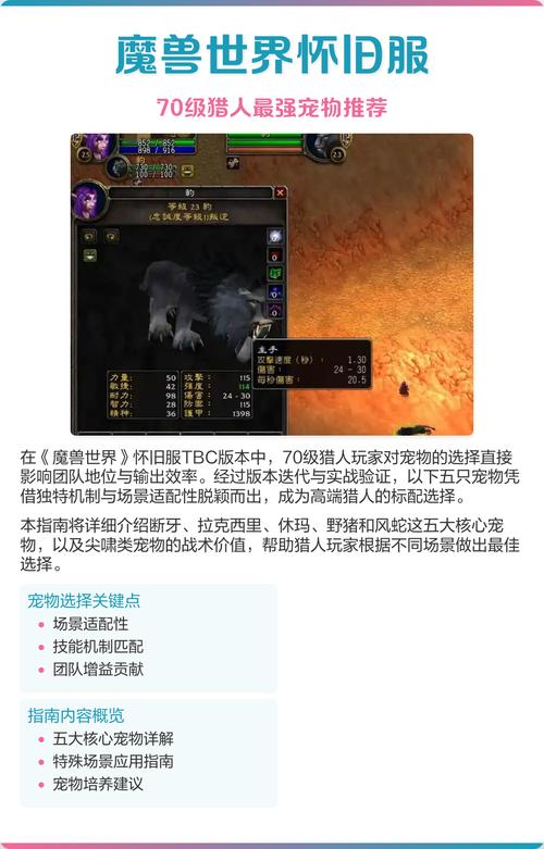 猎人宠物脸部特效安卓