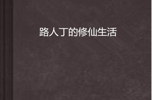 路人丁的修仙生活