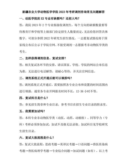 2023年考研调剂最新消息