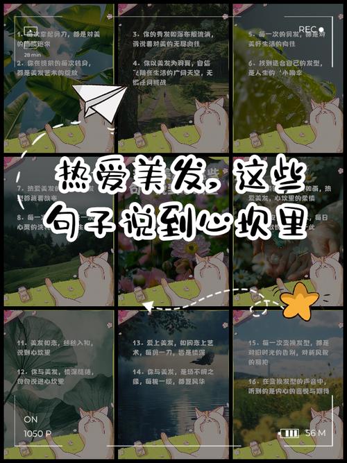 美发说