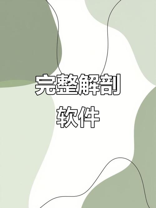 音乐解剖软件安装