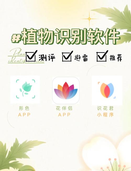 识别兰花软件