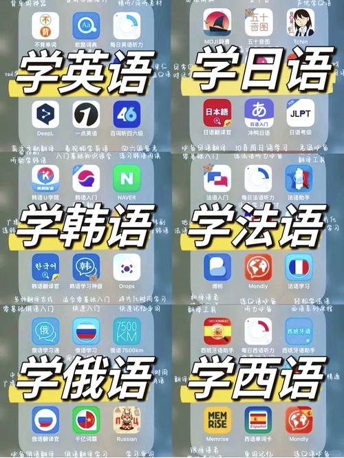 魔法外语软件