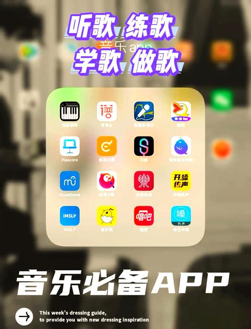自动喊麦软件手机软件