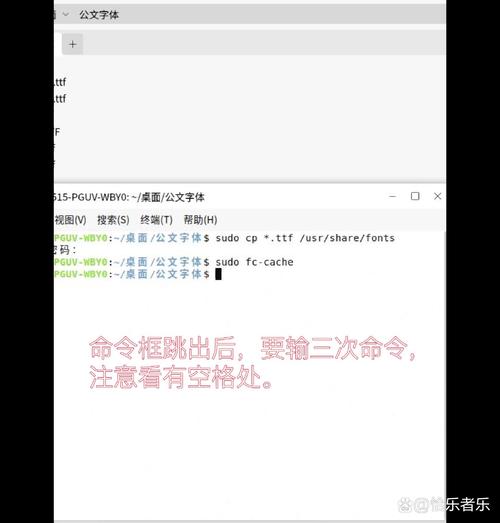 newttf软件