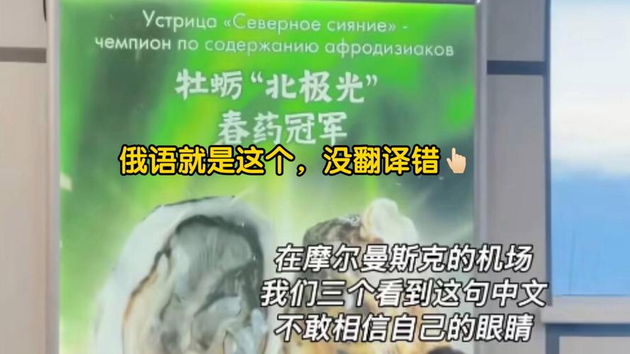 相信翻译视频移动版