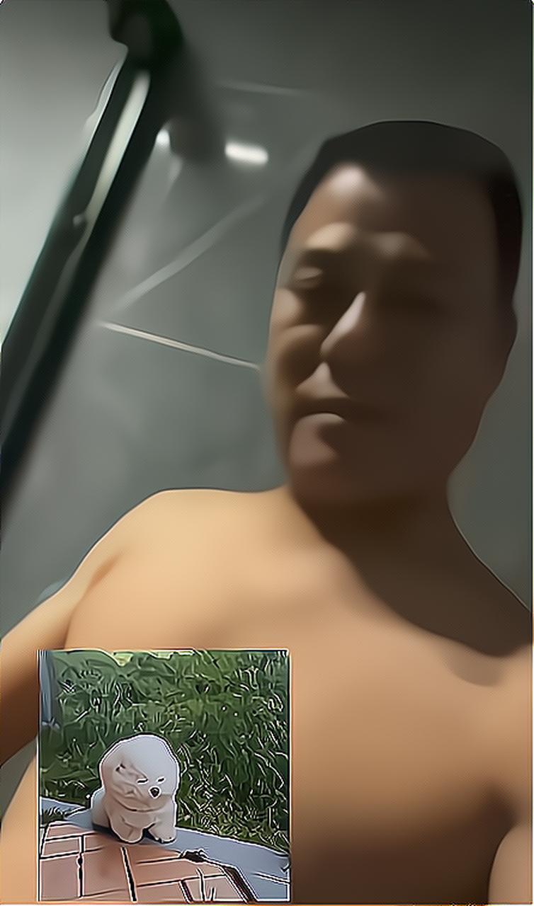 小杨爸遛鸟视频在线观看免费