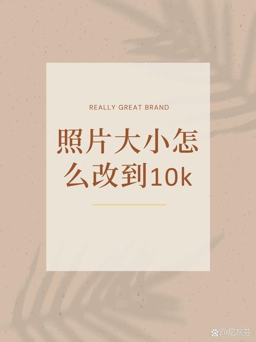 照片大小怎么改到10k