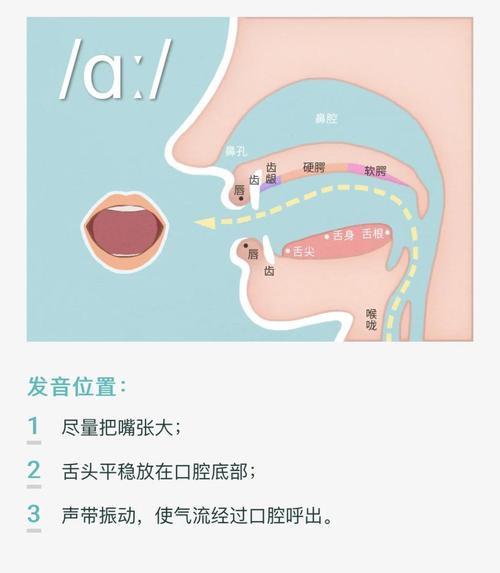 英语音标发音口型示范无限版